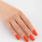 Gel Polish 263_1