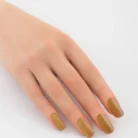 Gel Polish 281_1