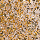 144 Swatch_Andreia Pocket