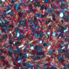 145 Swatch_Andreia Pocket