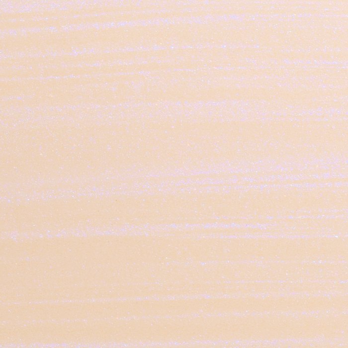 38 Swatch_Andreia Pocket