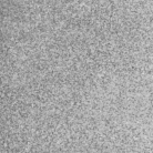 60 Swatch_Andreia Pocket