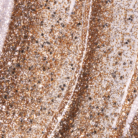 G37 The Gel Polish swatch