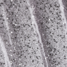 G38 The Gel Polish swatch