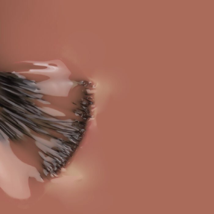 verniz gel brownie_3