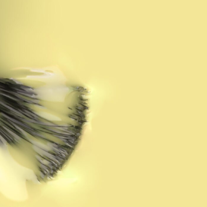 verniz gel girasol_2