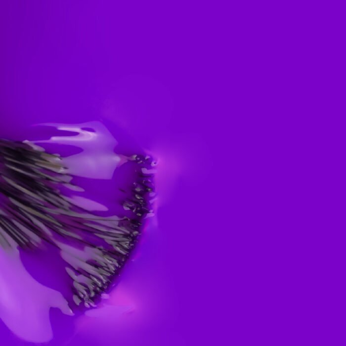 verniz gel pintarolas_3