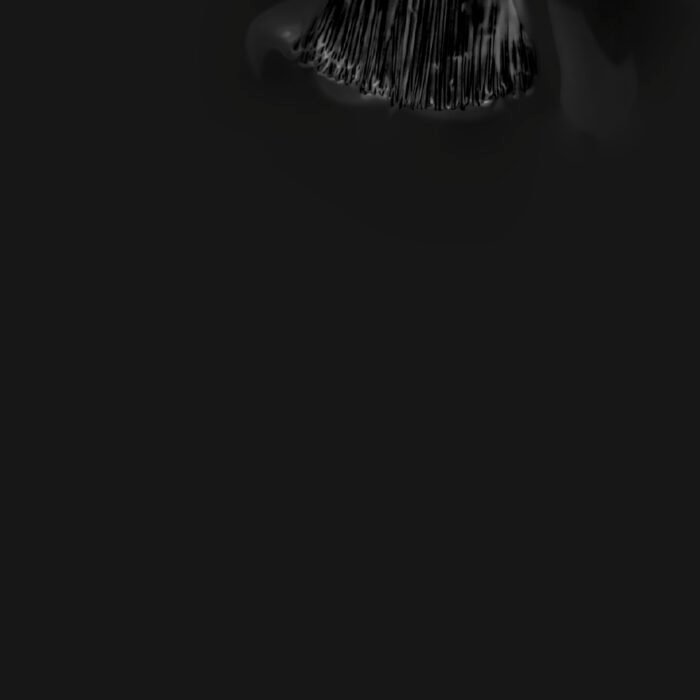 verniz gel princepezinho_3