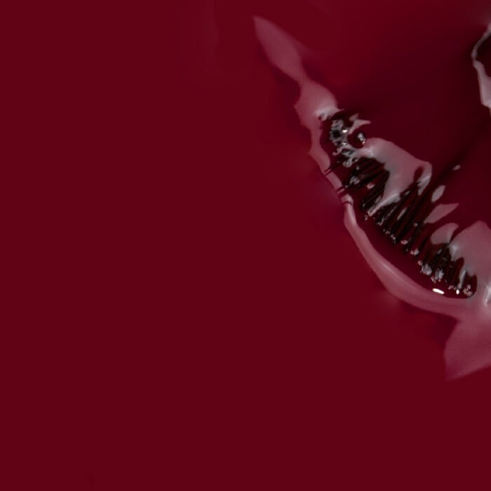 verniz gel sr. vinho_2